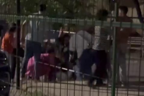 В Ташкенте пятеро парней устроили массовую драку — видео