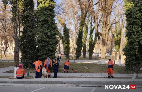 Ташкенту нашли нового главу управления благоустройства