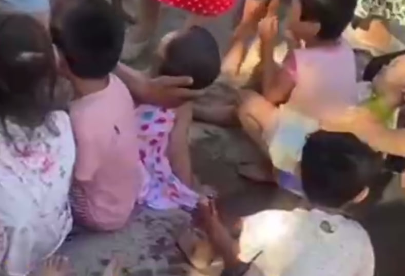В Каракалпакстане больше десяти детсадовцев попали в ДТП — видео
