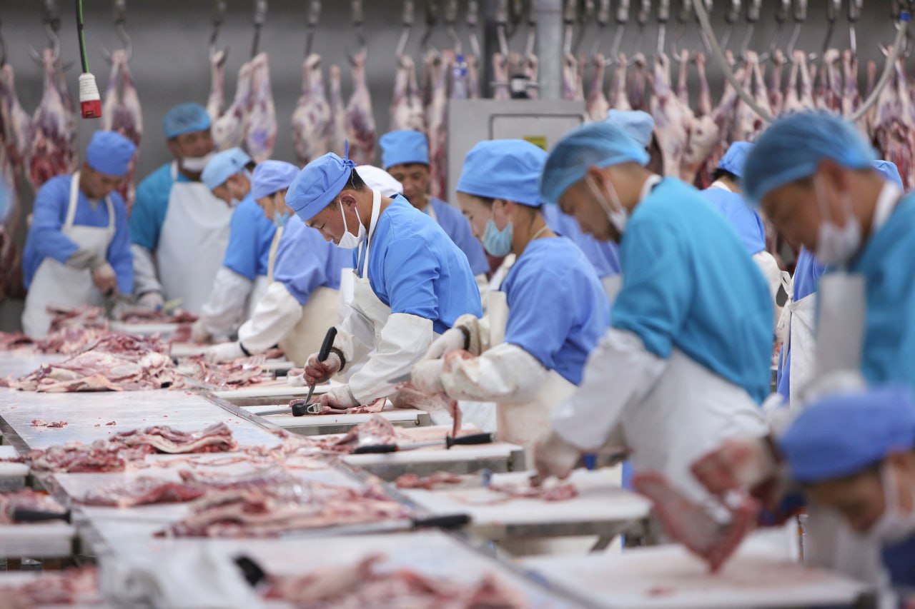 Узбекистан начнет закупать мясо в Монголии