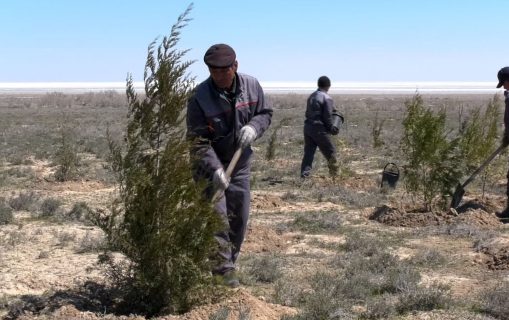 Южные земли Узбекистана станут непригодны для сельского хозяйства, — ООН