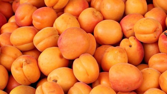 Из Узбекистана в Россию завезли зараженные фрукты