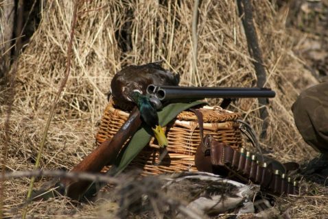 В Узбекистане изменили порядок выдачи охотничьих удостоверений