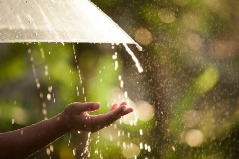 Дождь и жара: Синоптики рассказали о погоде на начало июля