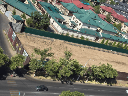 В Ташкенте таинственно исчезла аллея с деревьями