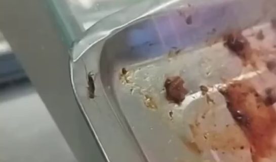 В супермаркете Ташкента заметили таракана на курице-гриль — видео
