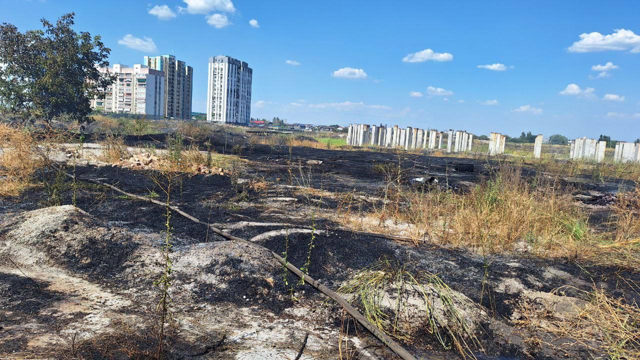 Поиск порно травке, смотреть и скачать травке порно