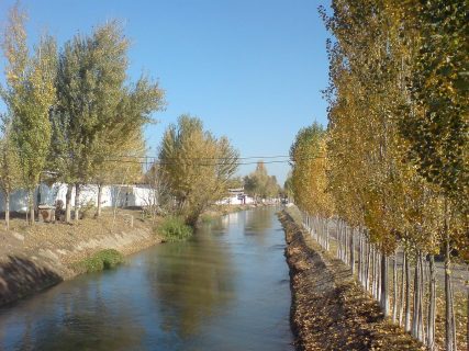 В Ташобласти старшеклассницу нашли мертвой в канале