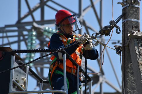 Выяснилось, когда начнется передача электросетей в частные руки