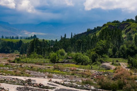 Жара усилится до 45 градусов