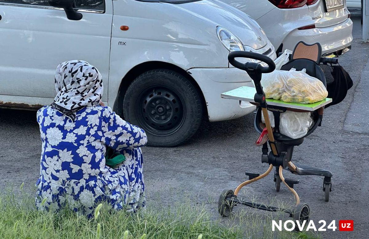 Тепло и пыльно: погода на 11 августа