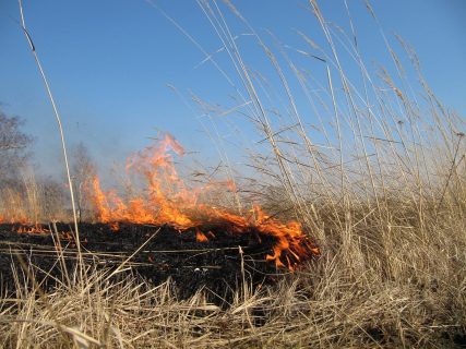 В Бухаре более ста чиновников наказали за загрязнение воздуха