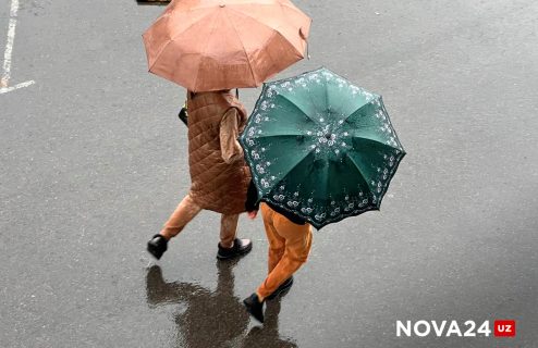 Где в Узбекистане ожидаются дожди: прогноз на вторую половины недели