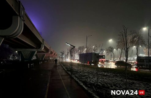 В Узбекистане усилятся морозы: погода на 14 ноября