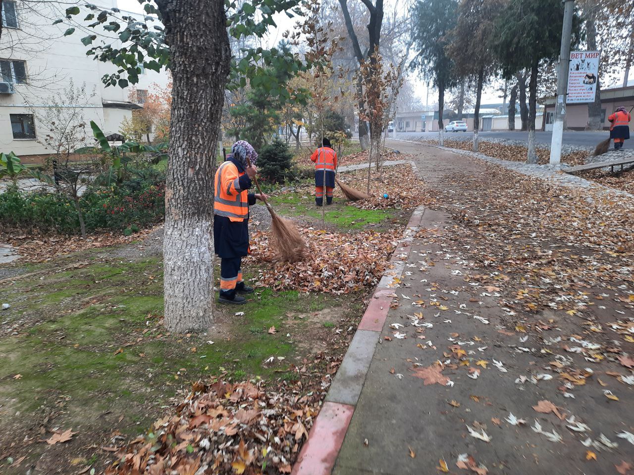 На что ташкентцы жалуются больше всего?