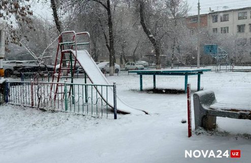 Стали очевидны главные проблемы в Ташкенте с приходом зимы