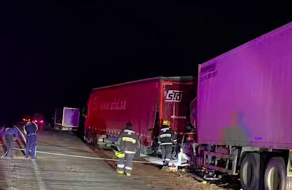 В Каракалпакстане два грузовика попали в крупную аварию — видео