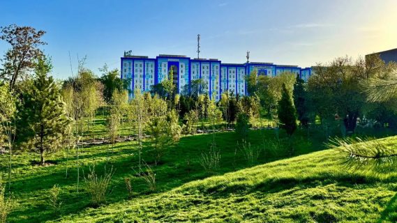 В Ташкенте откроют первый общественный парк 6 В Ташкенте откроют первый общественный парк