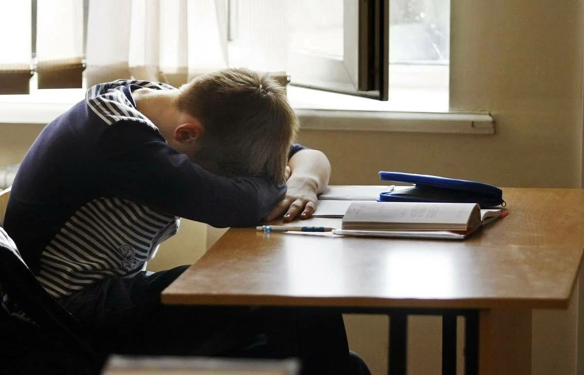 В Узбекистане потребовали отменить системы СОР и СОЧ в школах