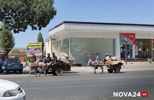 В Узбекистане резко станет жарче: погода на неделю