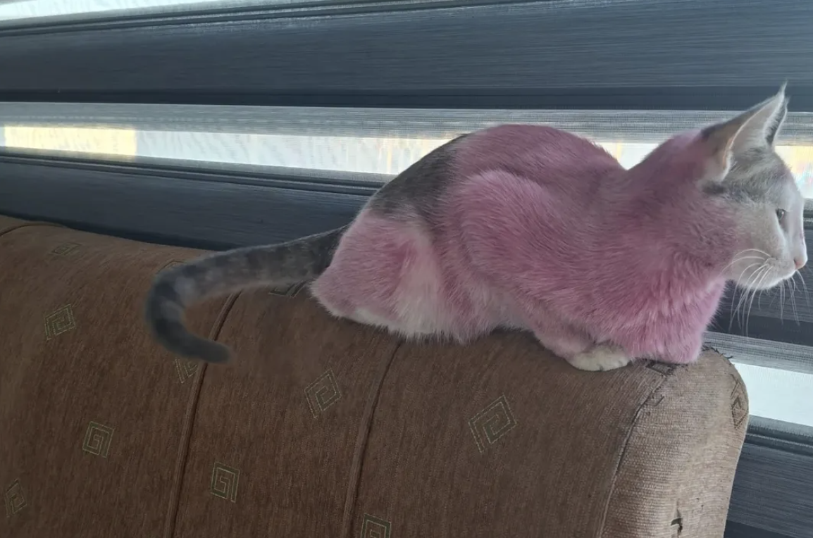 Mast qizlar külotda uxlab yotgan