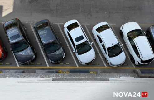 Direktorning kabinetidagi ziyofatda yigit barcha xodimlarni mushuklarini yalashga majbur qildi. Direktorning kabinetidagi ziyofatda yigit barcha xodimlarni mushuklarini yalashga majbur qildi.