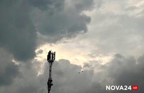 Прохлада и туман: погода на 13 ноября