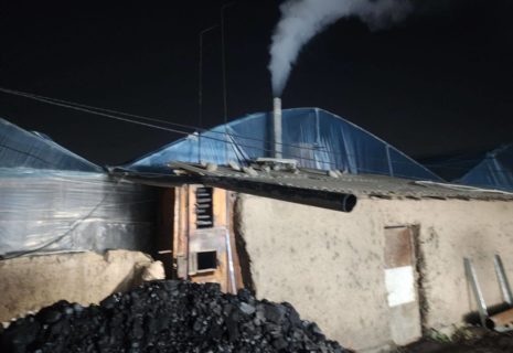 В Ташкенте и Ташобласти провели рейды против теплиц, ухудшающих воздух