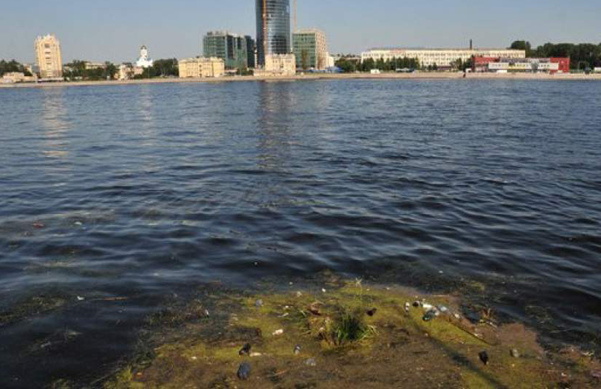 В Санкт-Петербурге водолазы нашли в реке тело 20-летнего узбекистанца