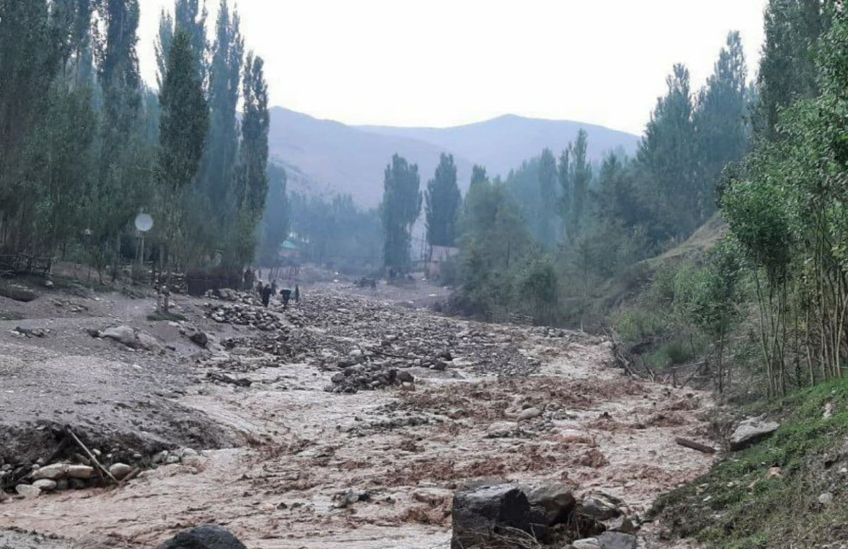 Селевой поток обрушился на горные районы Кашкадарьи