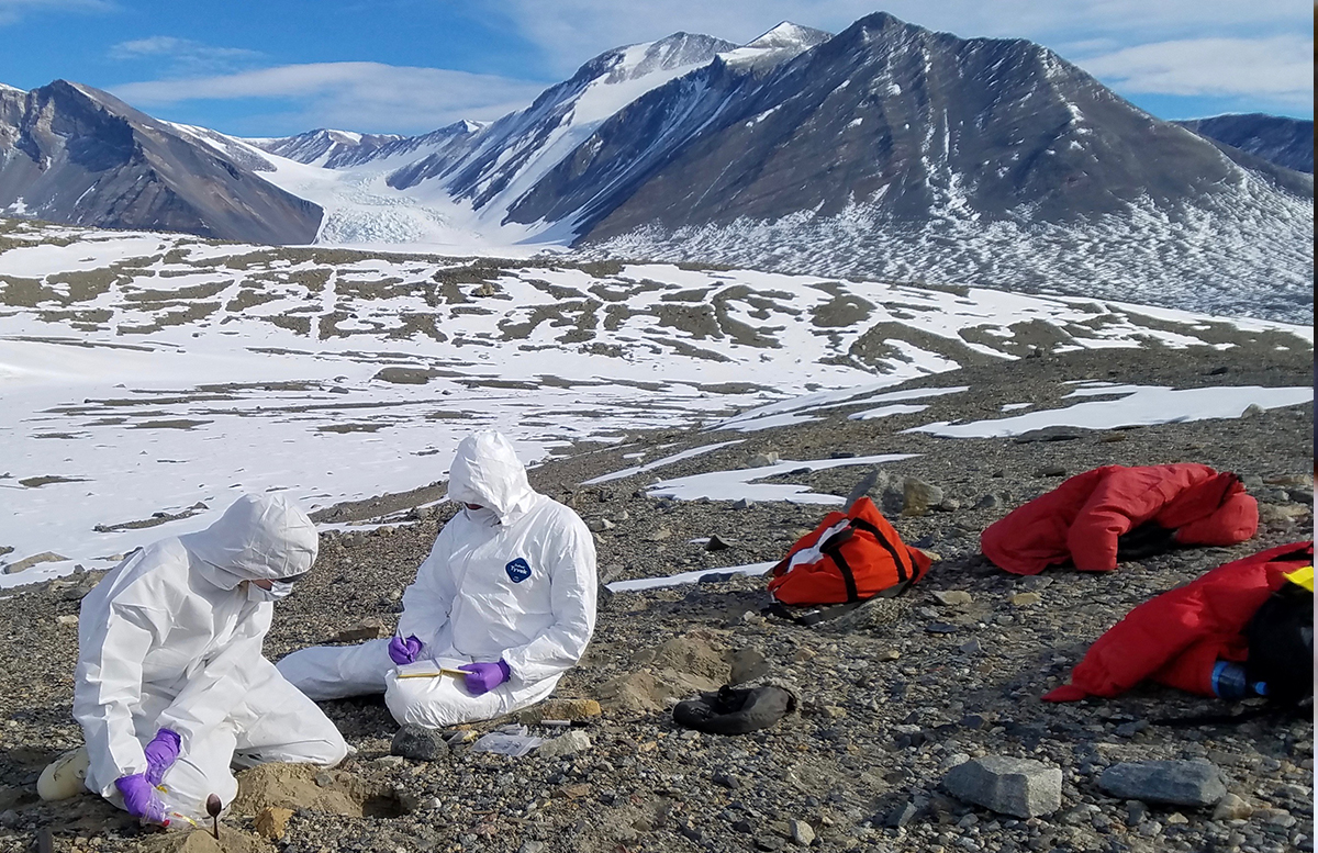 Ученые обнаружили в тающих ледниках Гималаев древние вирусы