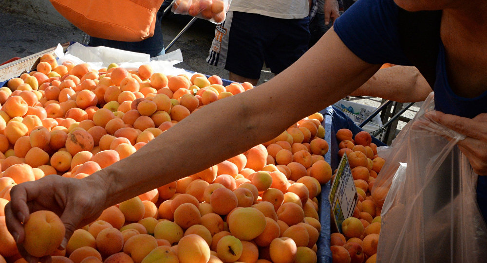 Выяснился лидирующий регион республики по экспорту абрикосов