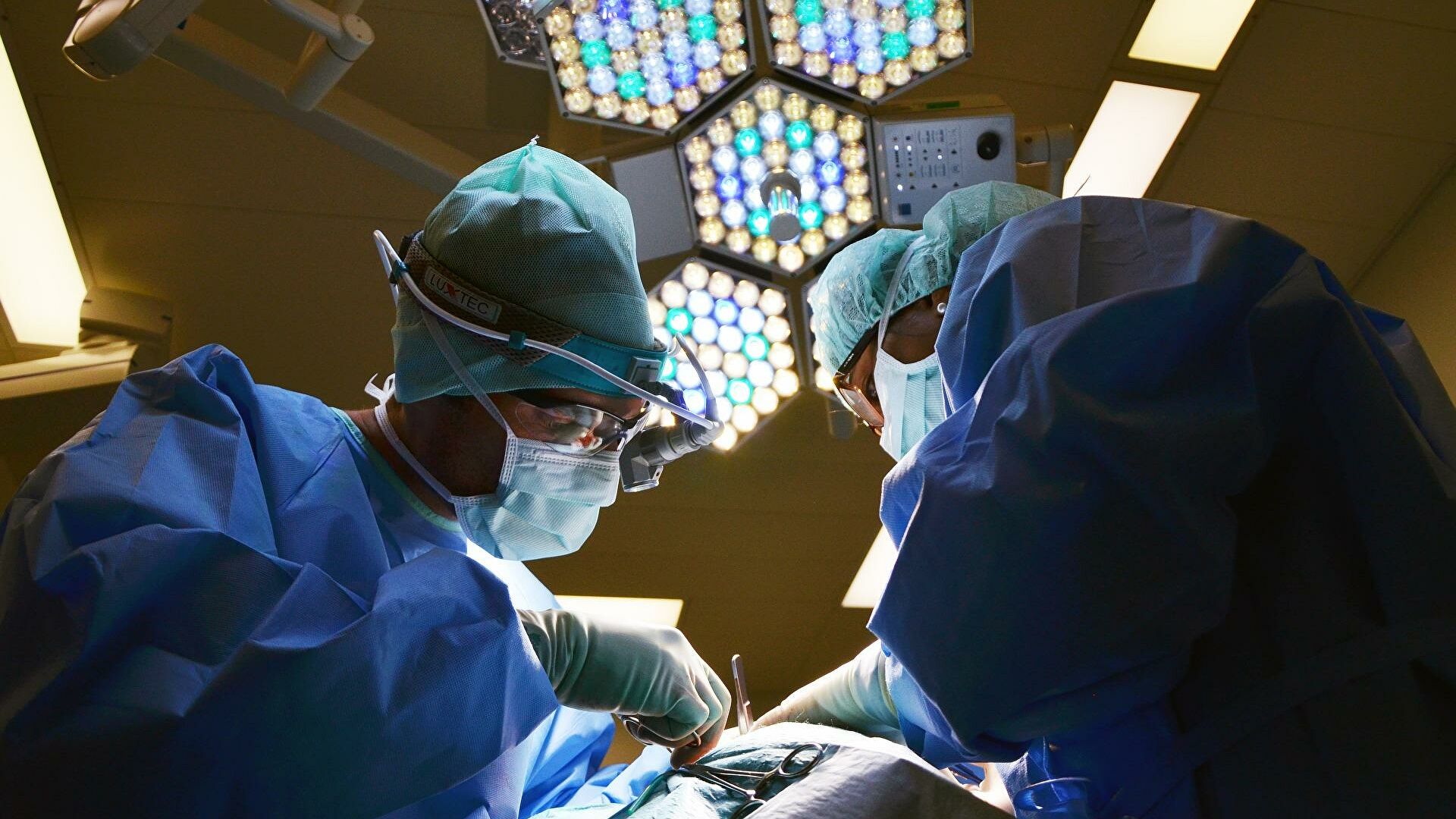 В Узбекистане законопроект «О трансплантации органов и тканей человека» закрепят в законе