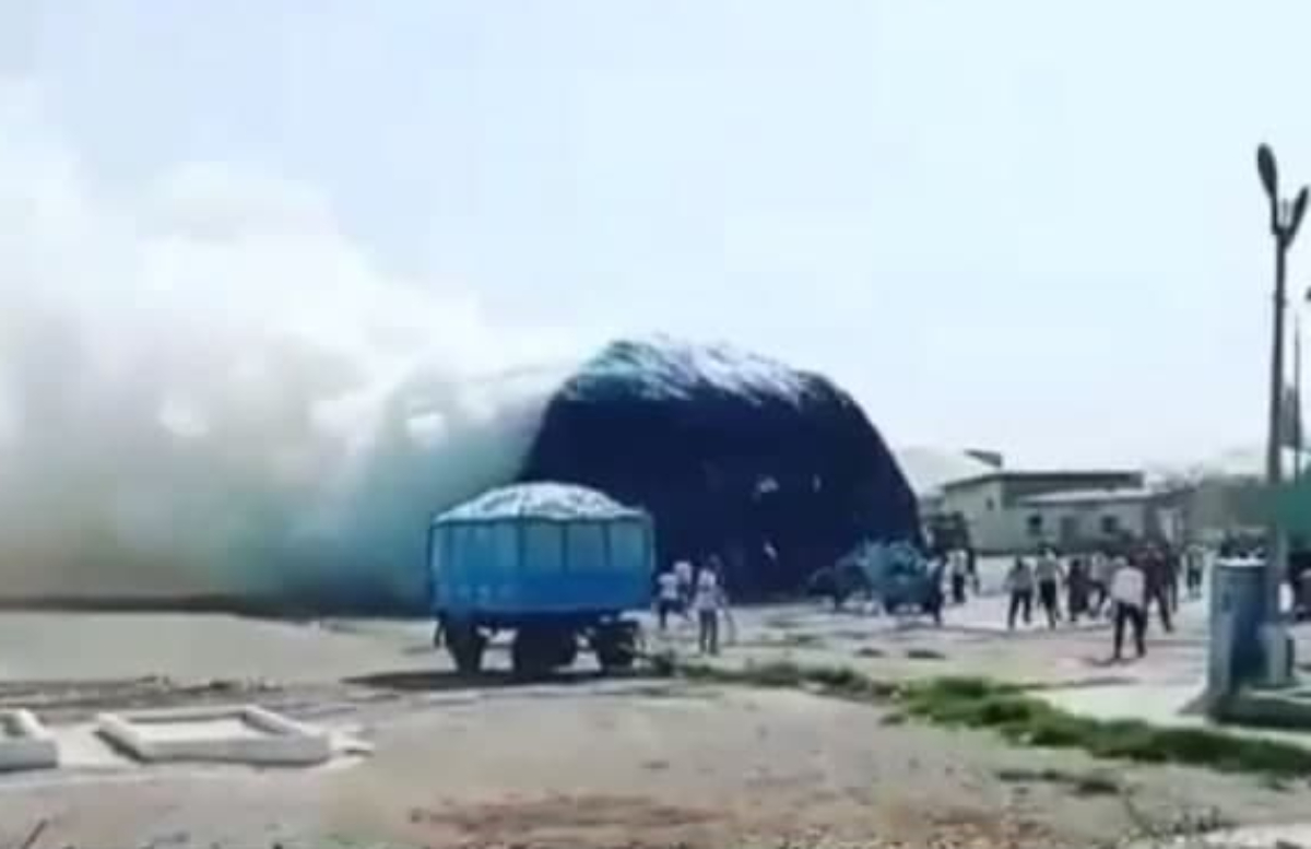 В Алтыарыке вспыхнул пожар на хлопкоуборочном пункте — видео