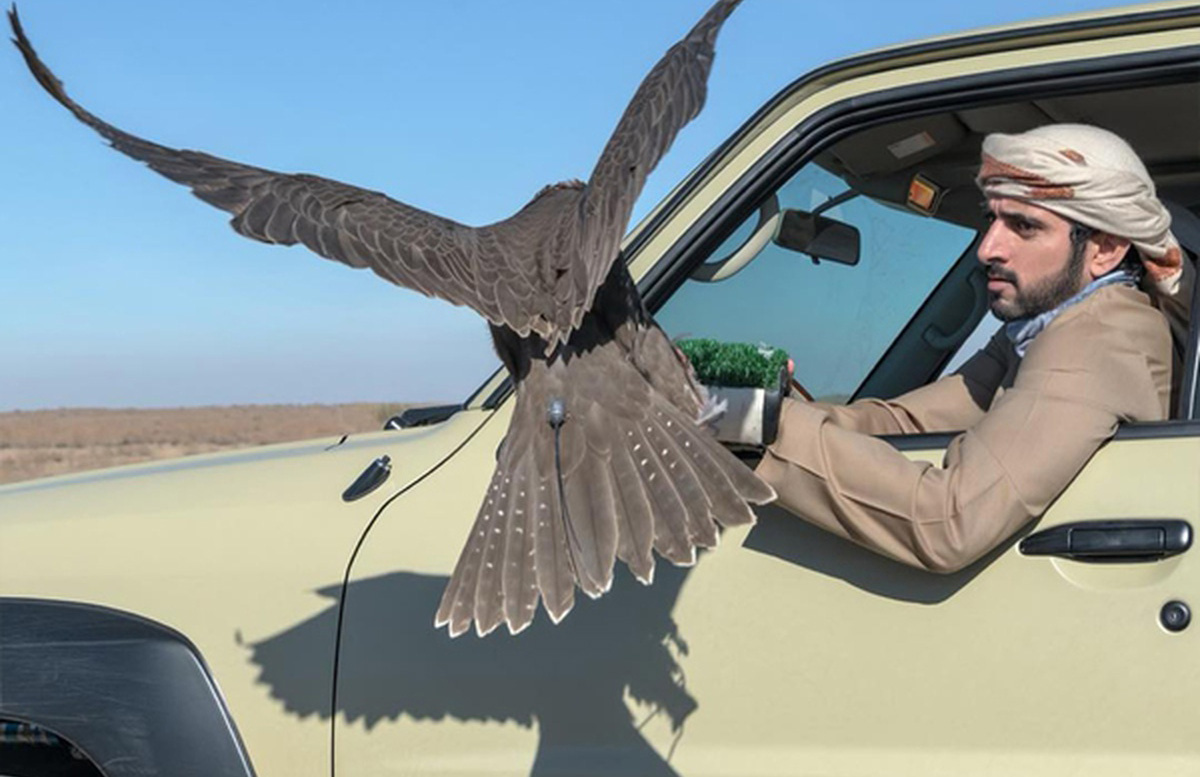 Дубайский принц поохотился на птиц в Навои