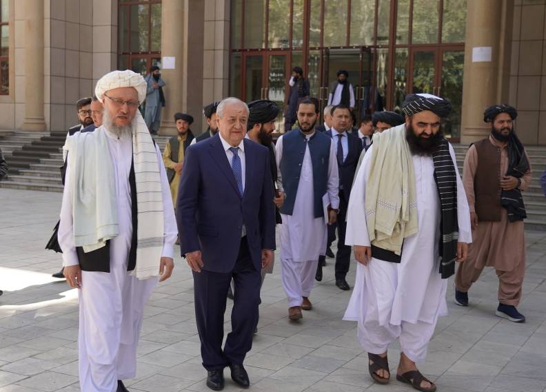 В МИД раскрыли подробности визита Аблулазиза Камилова в Кабул