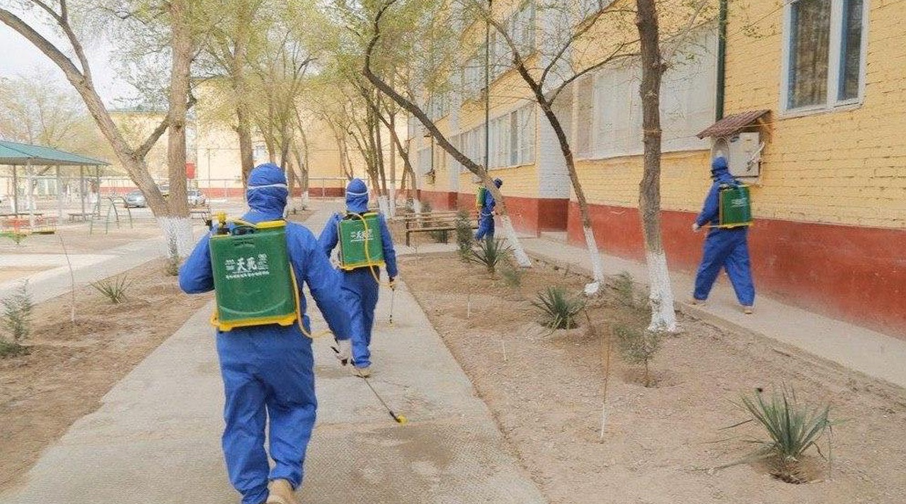 Узбекистан пробил новый антирекорд по количеству зараженных коронавирусом