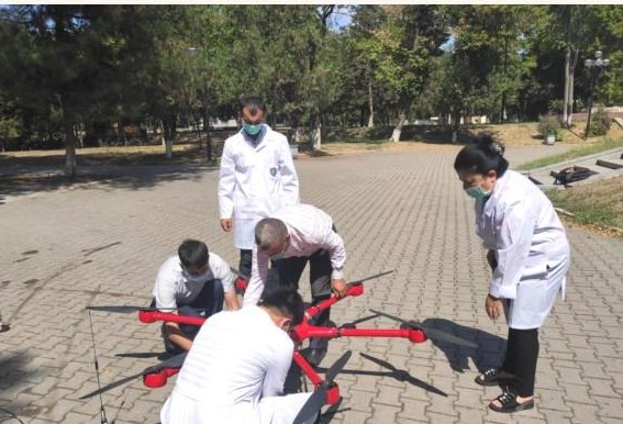 В Ташкенте зараженные деревья в парке имени Бабура спасают с помощью дрона