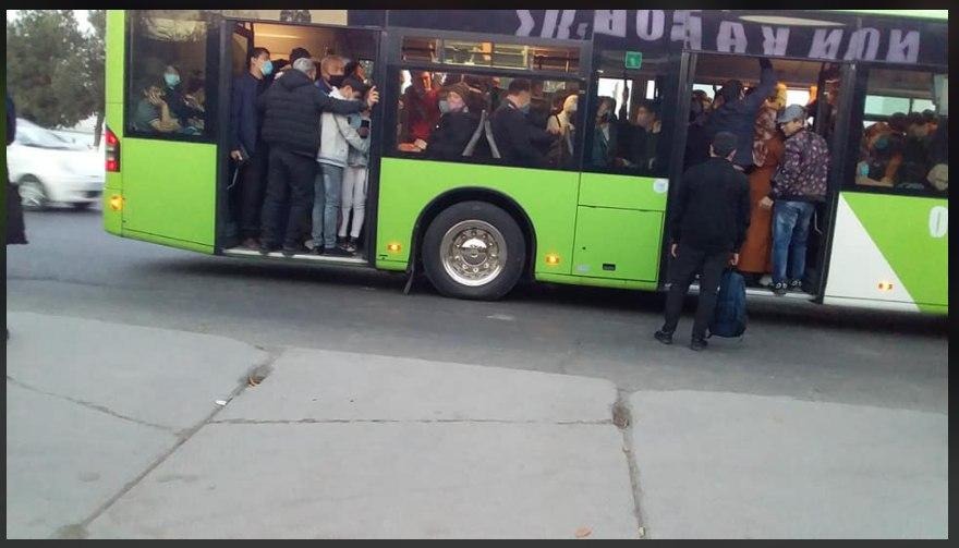 В общественном транспорте Ташкента теперь не проехать без перчаток