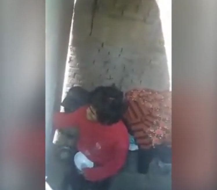 Узбекистанец в мороз запер свою сестренку с инвалидностью в коровнике — видео