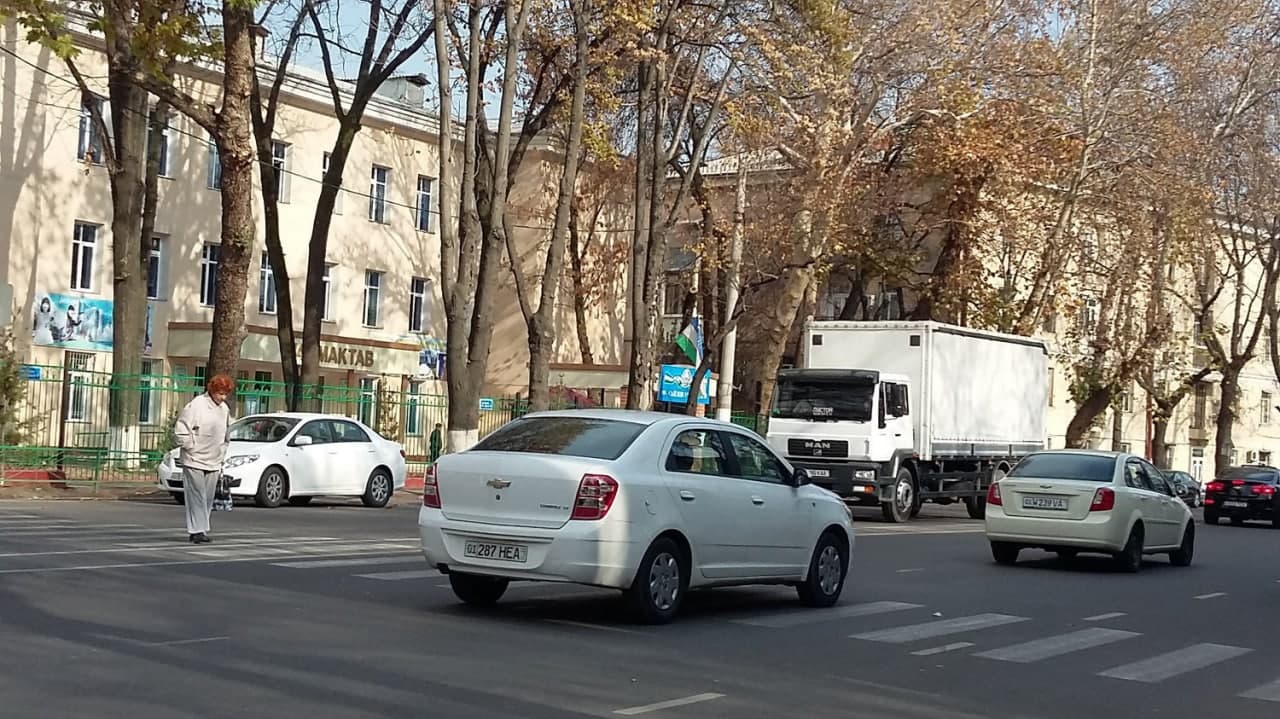В Узбекистане частники начнут проводить экзамены по вождению