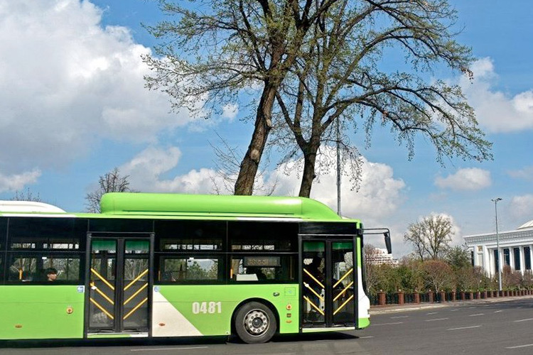 Стали известны маршруты первых скоростных автобусов в Ташкенте