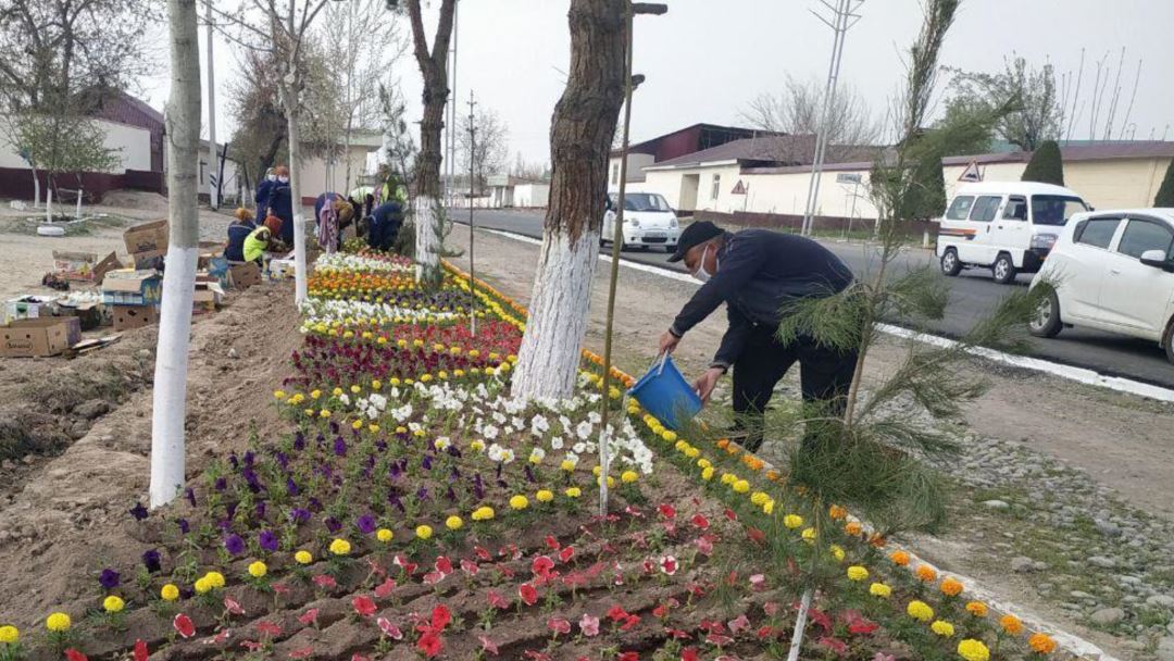 В Узбекистане фирма дочки хокима получила многомиллиардный контракт на высадку цветов