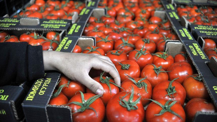 Россия снова разрешила поставки томатов с предприятий Узбекистана