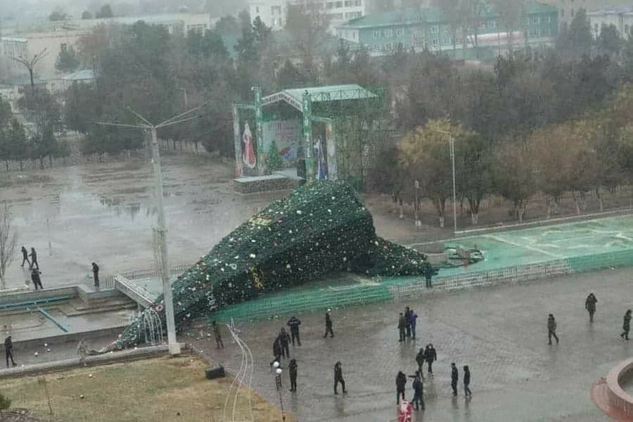 В Узбекистане сотрудник хокимията уволился после сделанного фото упавшей елки