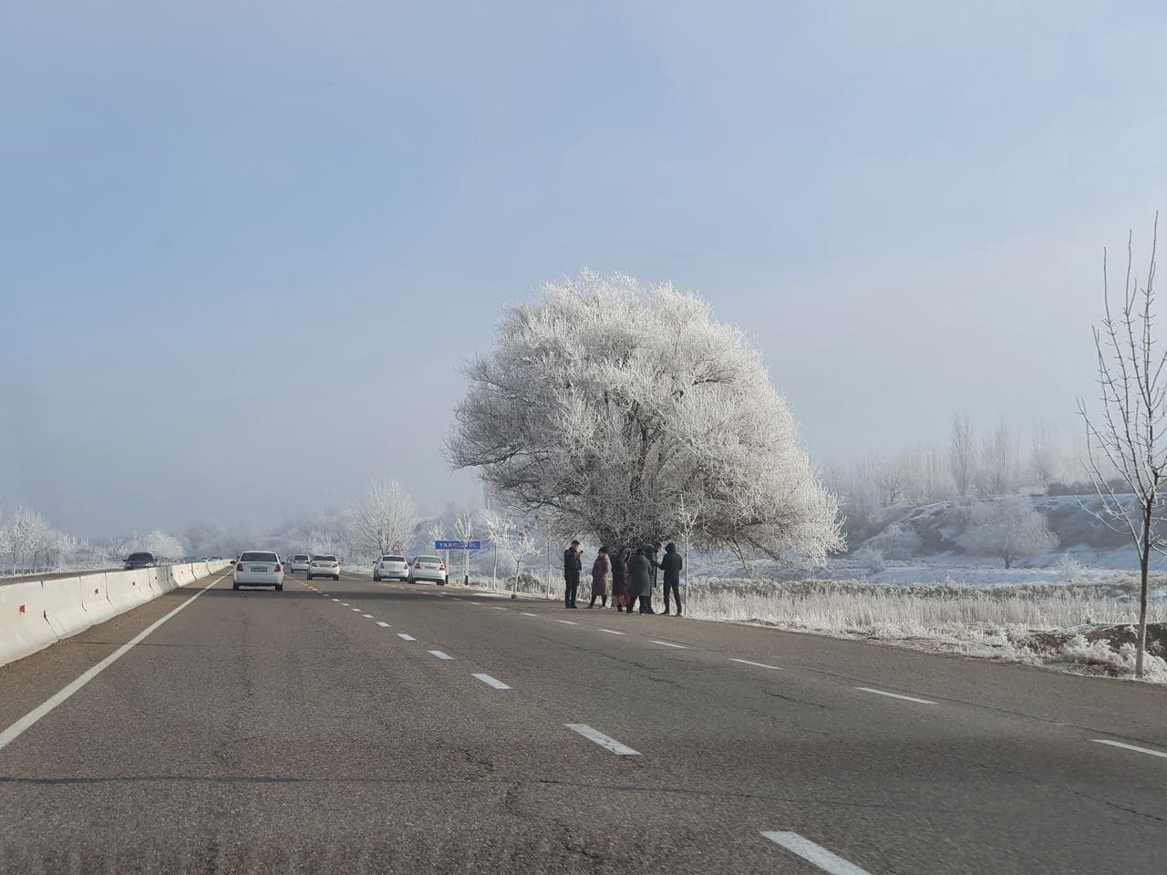 Когда в Узбекистане закончатся аномальные холода: ответ Узгидромета