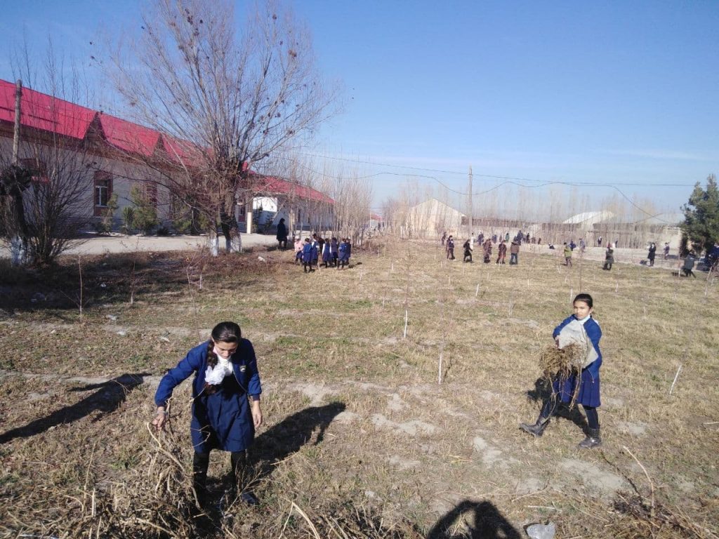 В Узбекистане оштрафовали заместителя директора школы за принуждение детей к труду