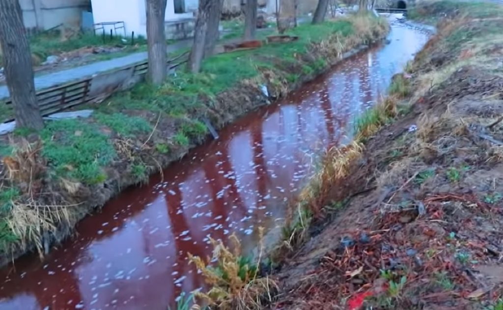 В Ташобласти Комитет экологии изучил ситуацию с «кровавой водой» из-за отходов от убитых животных в канале