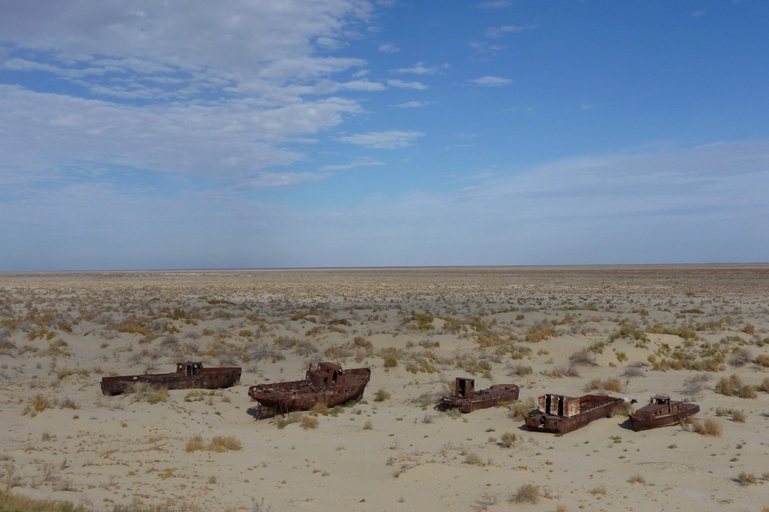 Узбекистан продолжит массовое озеленение осушенного дна Аральского моря